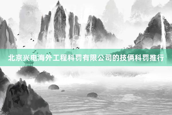 北京兴电海外工程科罚有限公司的技俩科罚推行